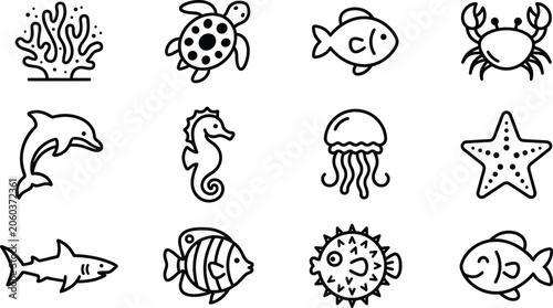 Photography Sea life and marine animals line icon set featuring ocean creatures coral reef f