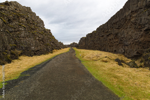 Fotografie Un amplio sendero de tierra cruza el desfiladero de Almannagjá en el Parque Nacional Thingvellir, Islandia, flanqueado por enormes paredes de roca volcánica y llanuras de hierba amarillenta