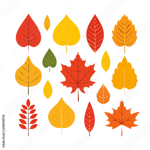 Autumn leaves flat design vector set