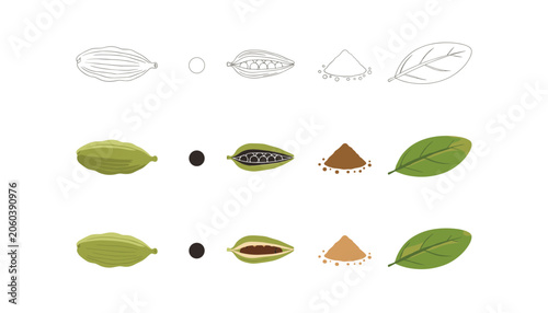 Konstfotografi Cardamom spice and agricultural set displaying a cardamom pod, a single seed, open pod with seeds, powder pile, and a verdant leaf in three graphic styles