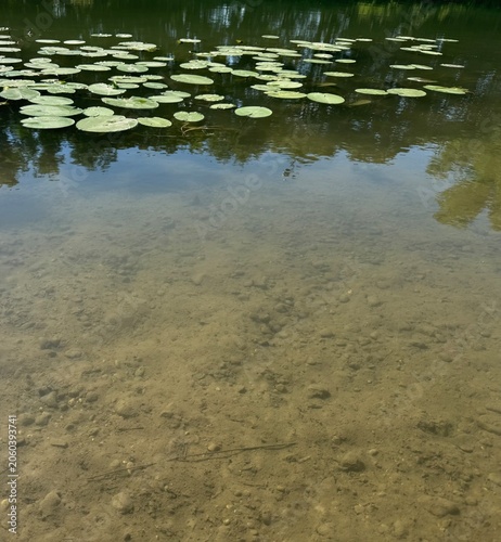 reflection in water