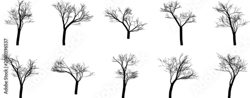 Set of ten black silhouettes of bare trees without leaves