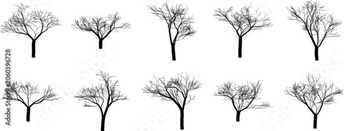 Collection of ten detailed black silhouettes of leafless deciduous trees