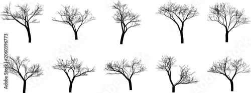 Set of ten black silhouettes of bare winter trees