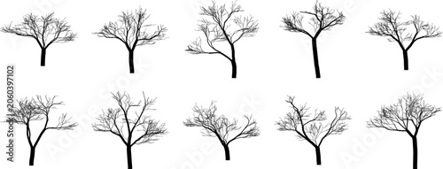 Set of ten black silhouettes of bare winter trees