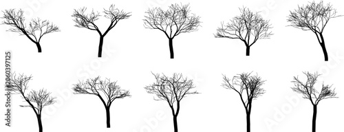 Set of ten black silhouettes of bare winter trees