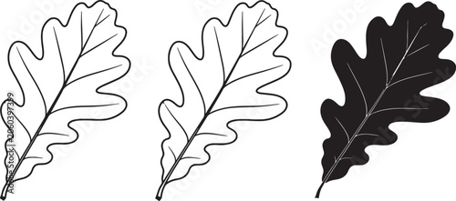 Photos Three also transparent background, black and white, oak leaf flat, and silhouett