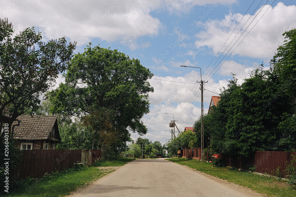 Fototapeta premium Quiet village road lined with trees and family houses. Rural neighborhood street under cloudy sky. Peaceful residential area with greenery. Local countryside background and everyday travel route.