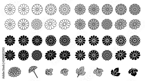 Quadro su tela 和柄の菊のイラスト素材セット