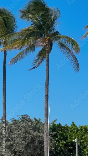 Outdoor Surveillance and Monitoring System in Tropical Location