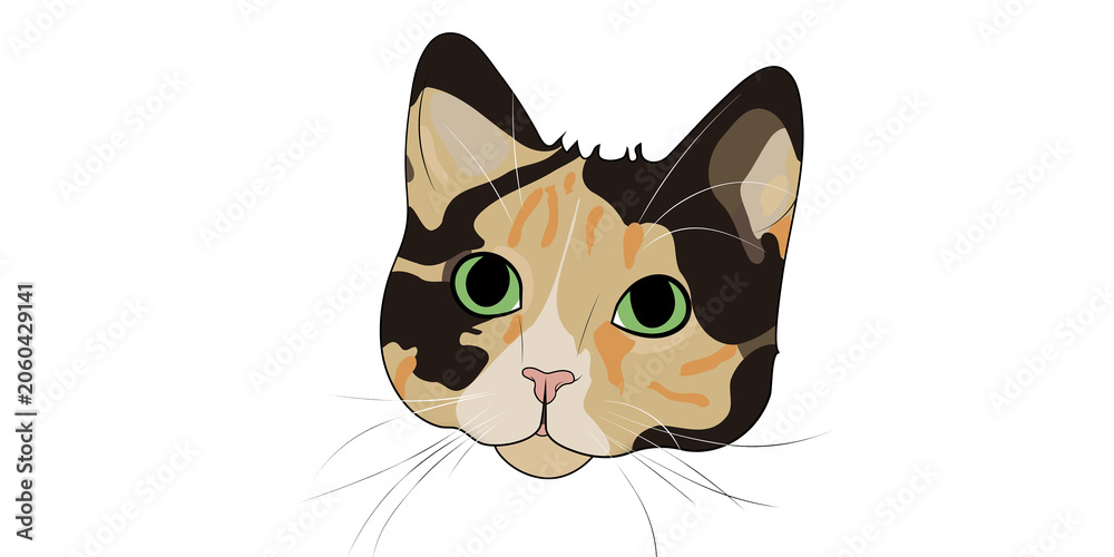 Fototapeta premium Colorful Calico Cat Face Portrait Vector Illustration with Green Eyes