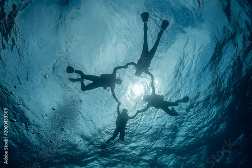 Tableau sur toile Silhouettes of four scuba divers holding hands beneath the ocean surface with sunlight shining through clear blue water