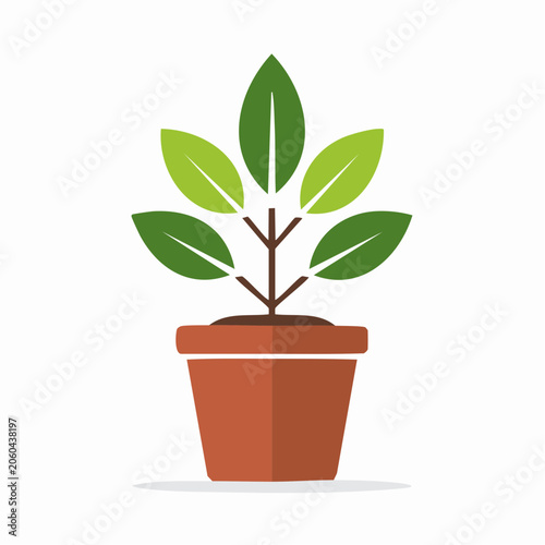 Flat design illustration of a potted plant with green leaves