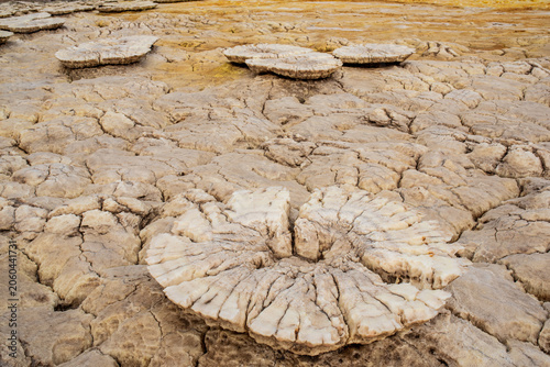 Canvastavla Detail of flower-shaped salt formations in Dallol, Danakil