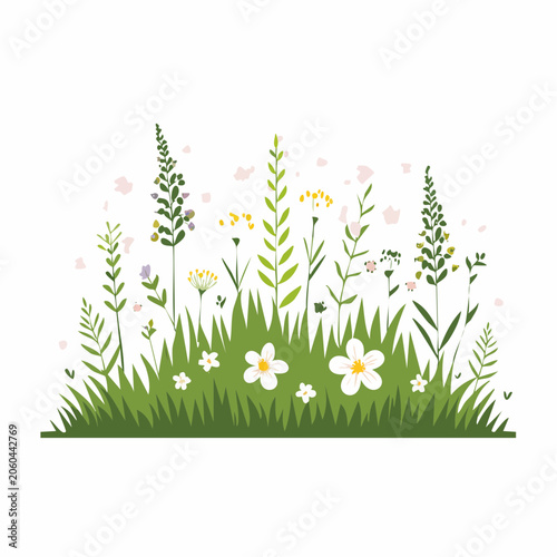 Illustration of Wildflowers and Green Grass