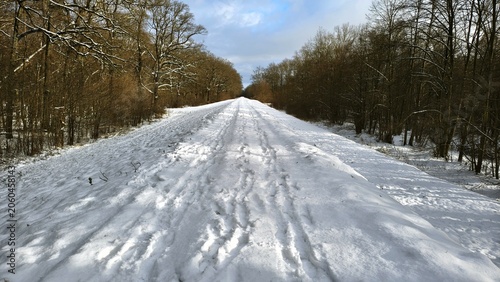 Słoneczny zimowy dzień 