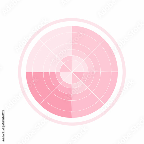 Pink Radar Chart with Concentric Circles and Segments