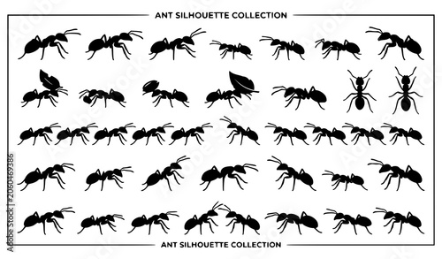 Tableau sur toile Ant silhouette vector icon set