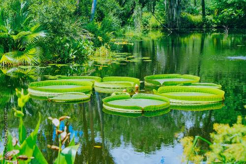 The landscape of Bok tower garden in lake wales of Florida