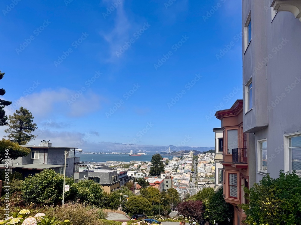 Fototapeta premium San Francisco Bay and Bay Bridge View from Russian Hill with Victorian Architecture and Hydrangeas