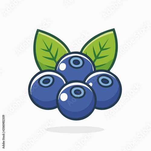 Blueberry illustration with leaves