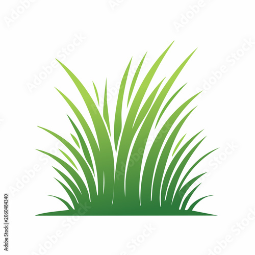 Green Grass Illustration