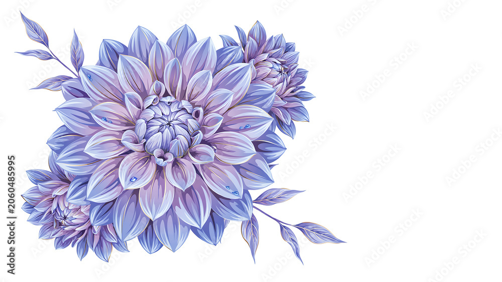 Obraz premium Purple dahlia flower arrangement with green leaves isolated on a transparent background