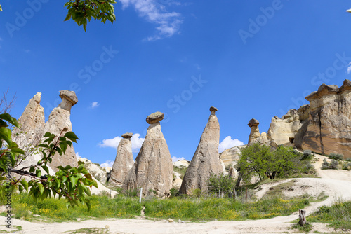Unique Fairy Chimneys in Cappadocia Landscape