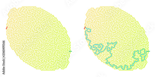 Photos Lemon maze puzzle design illustration with intricate paths and bright colors