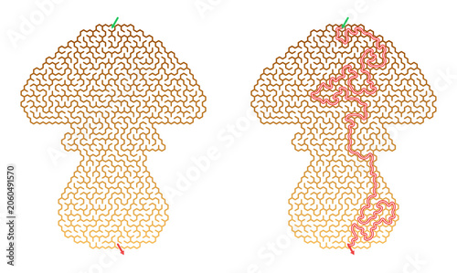 Maze design featuring a mushroom shape with a red path  