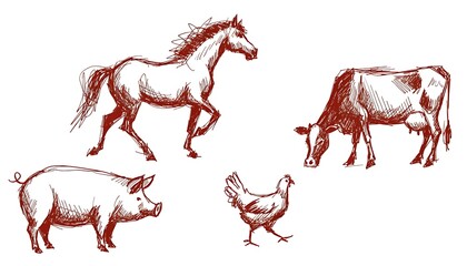 Hand Drawn Sketch of Farm Animals Horse Pig Cow Chicken image photo