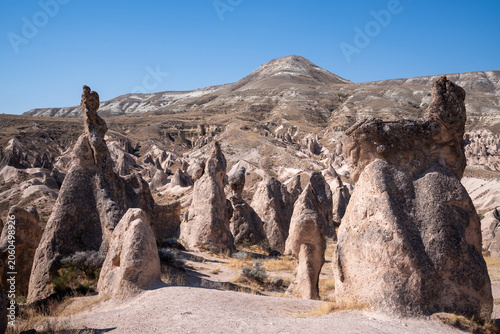 the famous rock formations called fairy chimneys in the Devrent Valley in Cappadocia on a summer day.