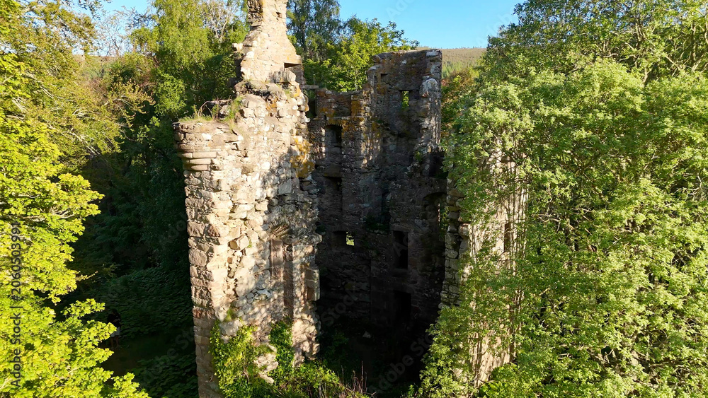 Fototapeta premium A side perspective of Corse Castle in Scotland reveals massive stone walls rising beside towering trees and dense greenery.