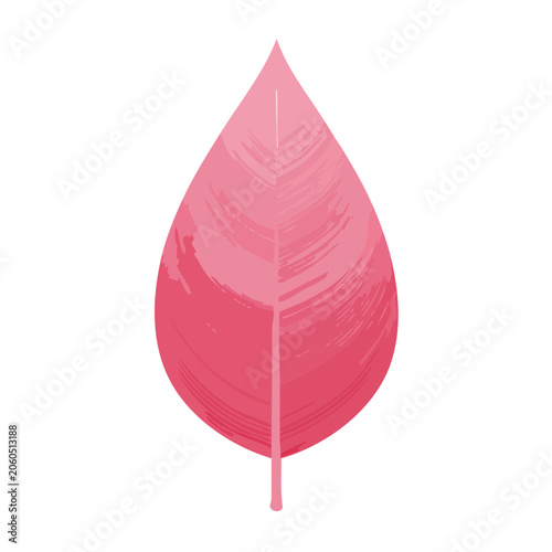 Pink Leaf with Veins and Stem Illustration