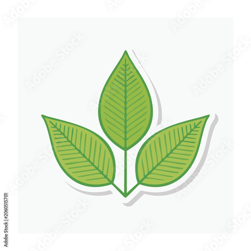 Three Green Leaves Icon in Flat Design