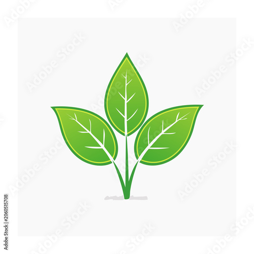 Three Green Leaves Vector Illustration