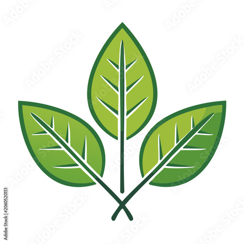 Three Green Leaves Icon with Transparent Background