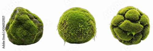 Foto Green mossy stones and decorative moss balls isolated on transparent background