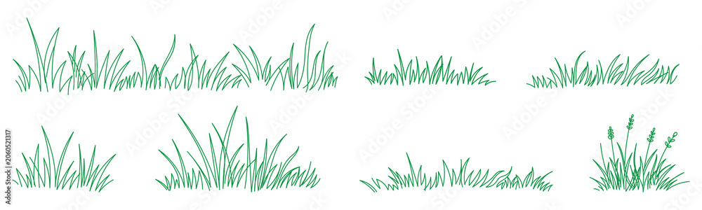 Fototapeta premium Grass line doodle set with meadow outlines and hand drawn lawn brush elements vector collection 