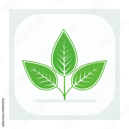 Three Green Leaves Icon in Flat Design