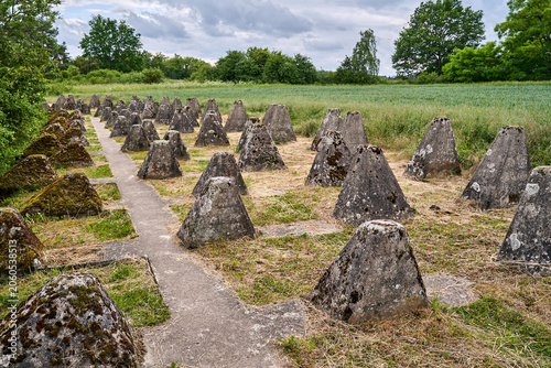 Fragment of concrete, historical German dragon teeth as part of the Miedzyrzecz Fortified Area