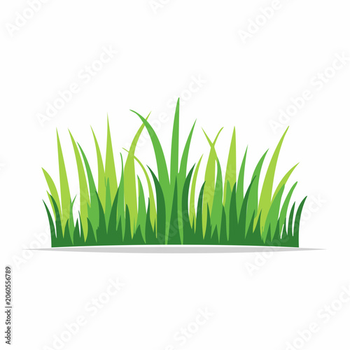 Green Grass Illustration