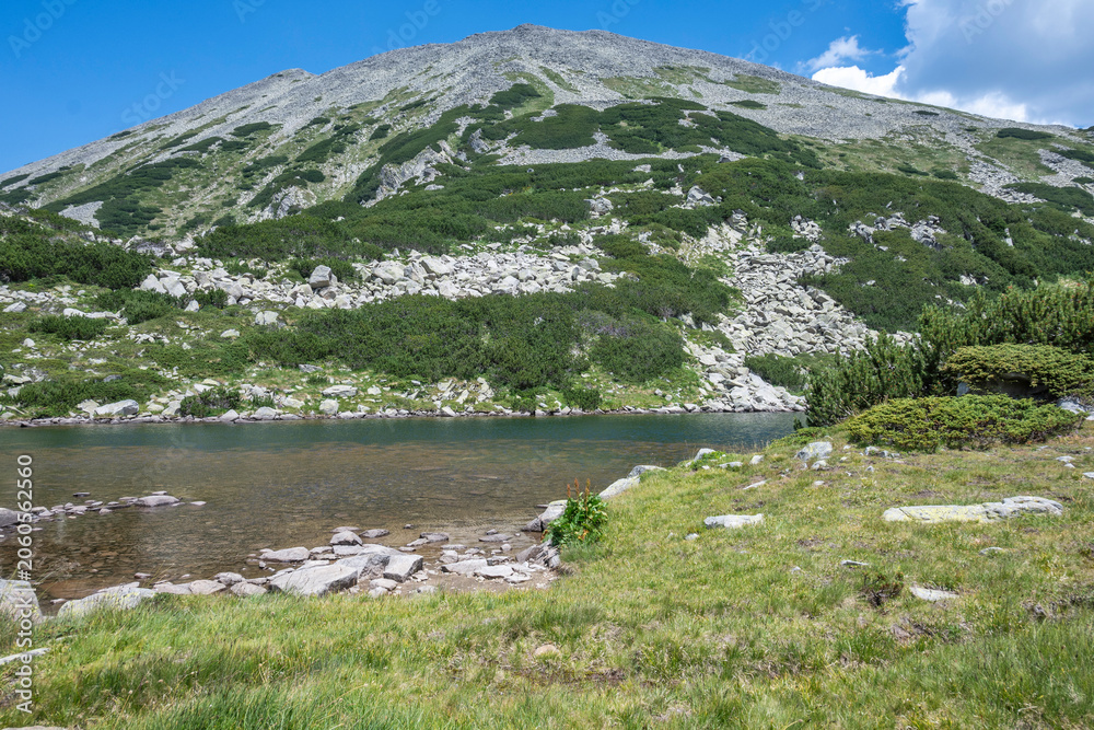 Fototapeta premium Pirin Mountain near Banderitsa Area, Bulgaria