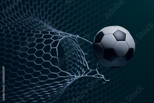 Photos Sports ball caught by net
