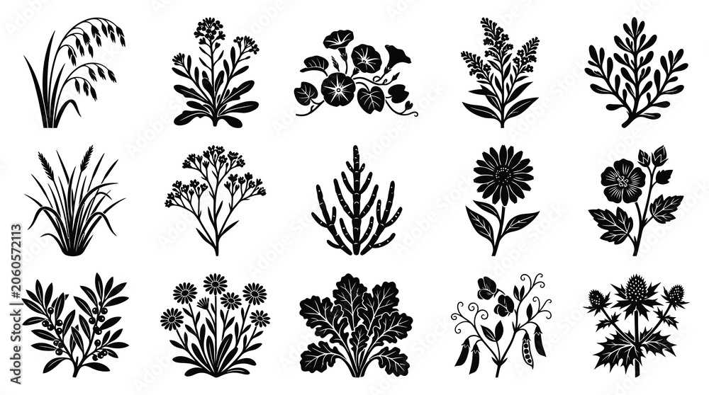 Fototapeta premium Black White Botanical Illustrations of Various Plants and Flowers