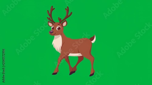 Cute Christmas Reindeer Walking Slowly with Subtle Head Movement on Green Screen