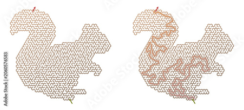 Squirrel-shaped maze design for summer camp activity concept  