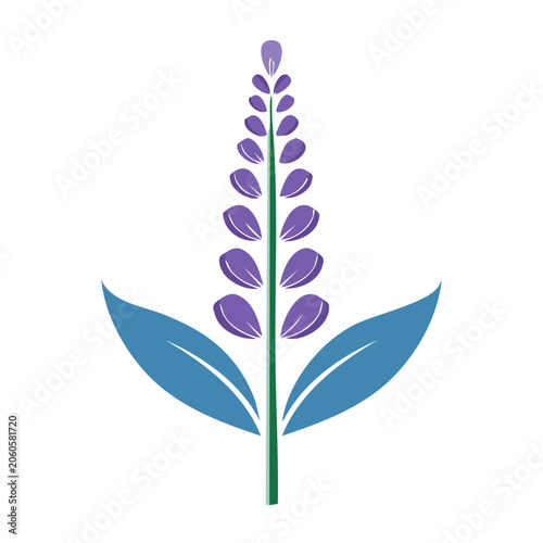 Purple and blue butterfly vector design