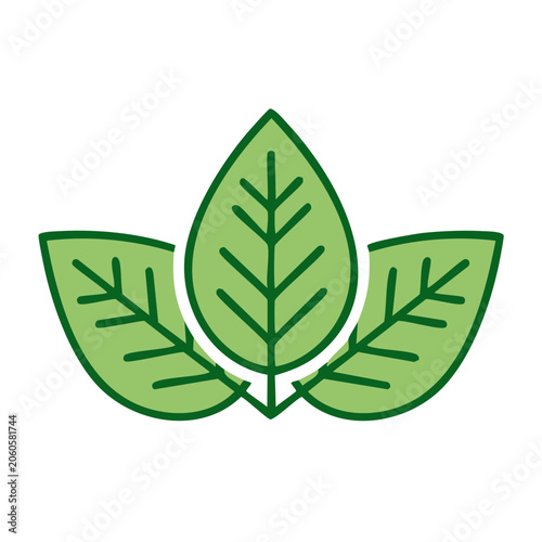 Three Green Leaves Icon in Flat Design