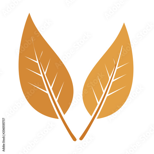 Two orange autumn leaves with stems on transparent background
